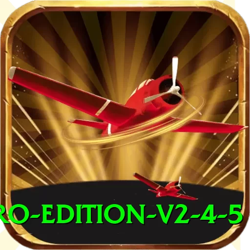fly33 - Pro Edition v2.4.5 - 2