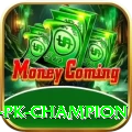 LLYY Game PK Champion