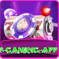pk07 VIP Gaming App